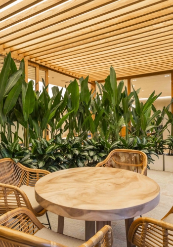 architecture-office-garden-sustainable-wellness-mekong_capital-saigon