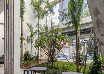 architect-vietnam-renovation-heritage-coffee-shop-garden